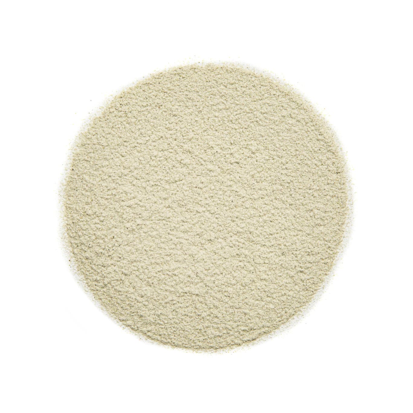 Wasabi